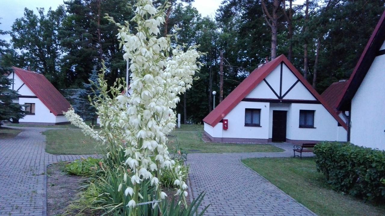 Hotel Osrodek Szkoleniowo - Wypoczynkowy Guzianka Ruciane-Nida Exterior foto